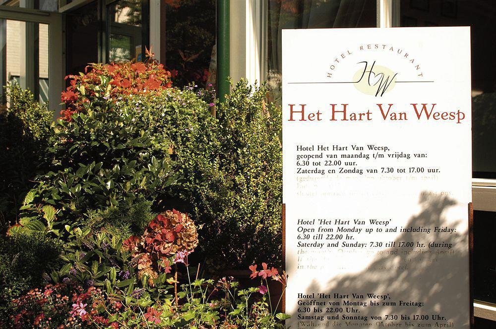 Het Hart Van ווייספ מראה חיצוני תמונה